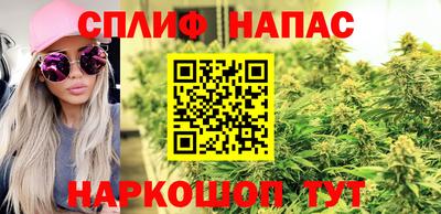 мдпв Можга