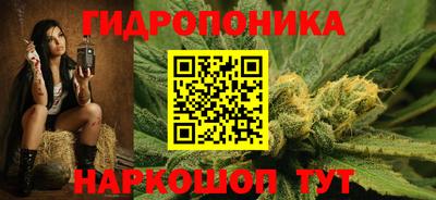 мдпв Можга