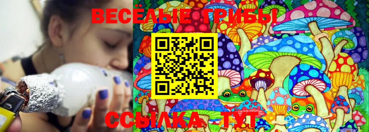 Галлюциногенные грибы GOLDEN TEACHER Вышний Волочёк