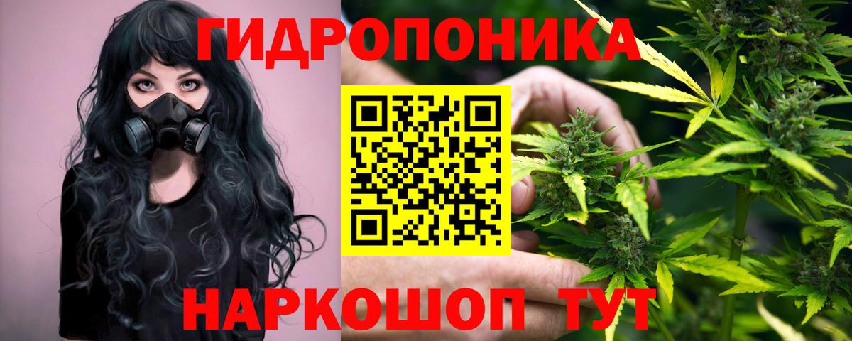 Марихуана планчик  Канабис гибрид  Вышний Волочёк  Вход с VPN  Конопля LSD WEED 